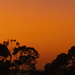 Sunrise by koalagardens