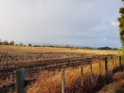 25th Mar 2020 - View from the back paddock