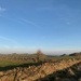 Derbyshire wall by 365projectmaxine