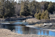 24th Mar 2020 - Mission Creek, Another View