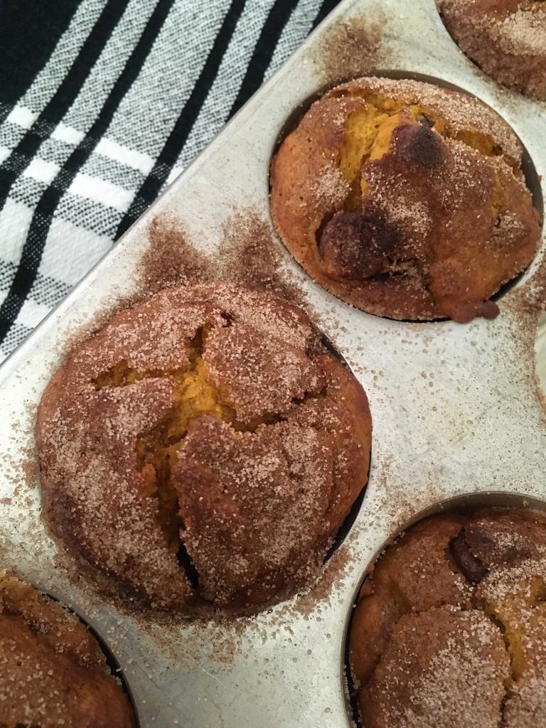 pumpkin chocolate chip muffins by wiesnerbeth