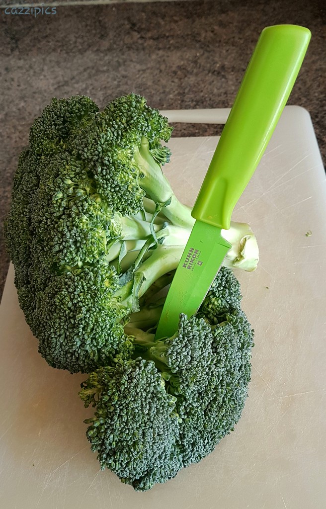 Broccoli  by serendypyty