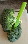 26th Mar 2020 - Broccoli 