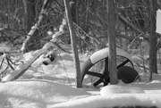 2nd Mar 2020 - Snow covered wheel