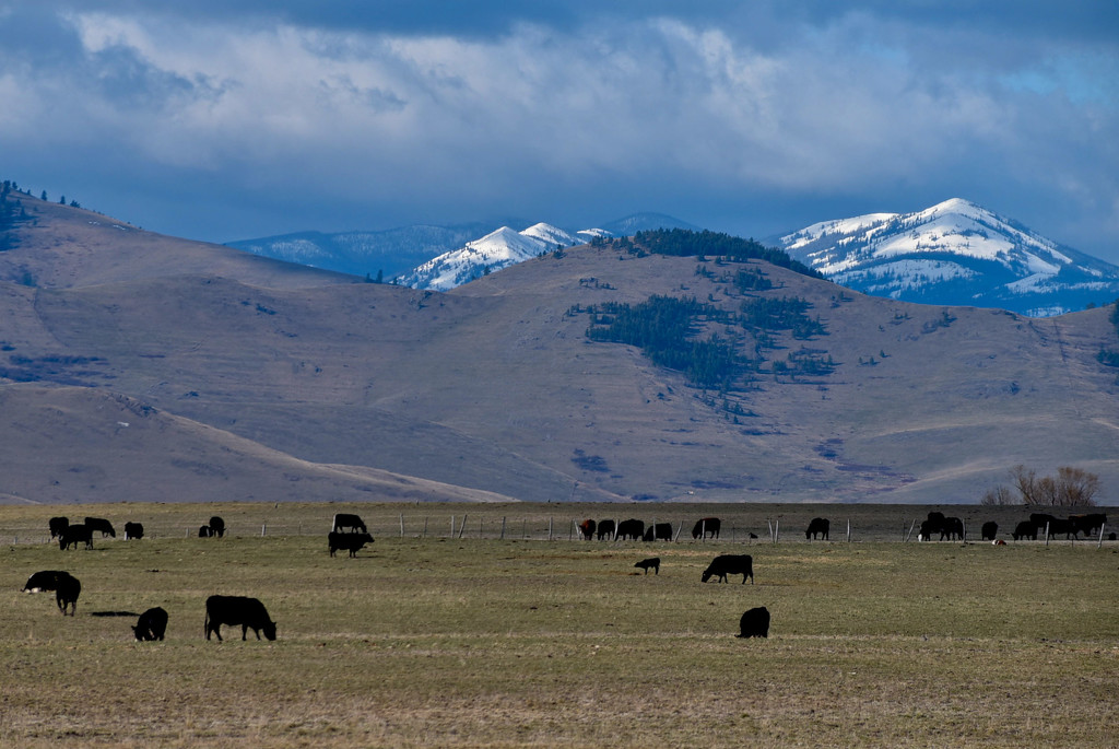 Rural Montana by bjywamer
