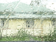 26th Mar 2020 - Rain,rain - please stay another day!