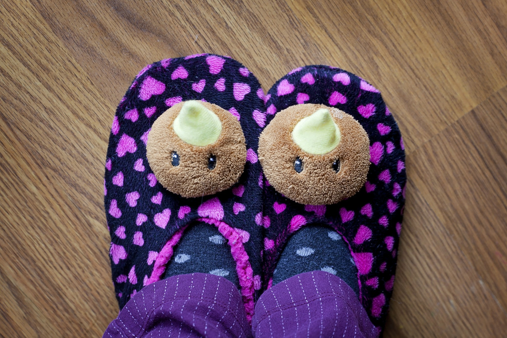 Kiwi slippers by kiwichick