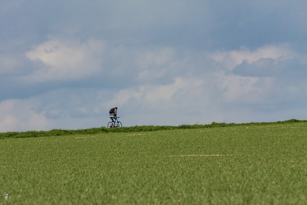 the cyclist by lastrami_