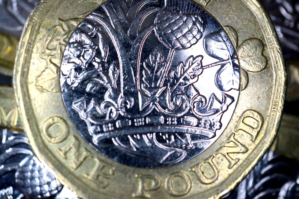 One Pound Coin by davemockford