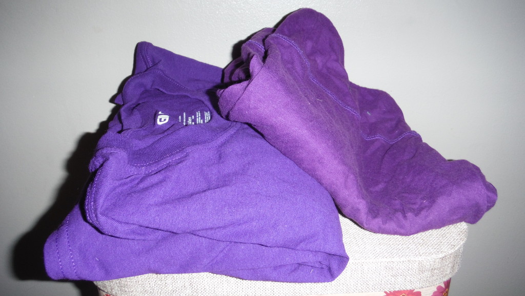 Purple T-shirts and Workout Pants by spanishliz
