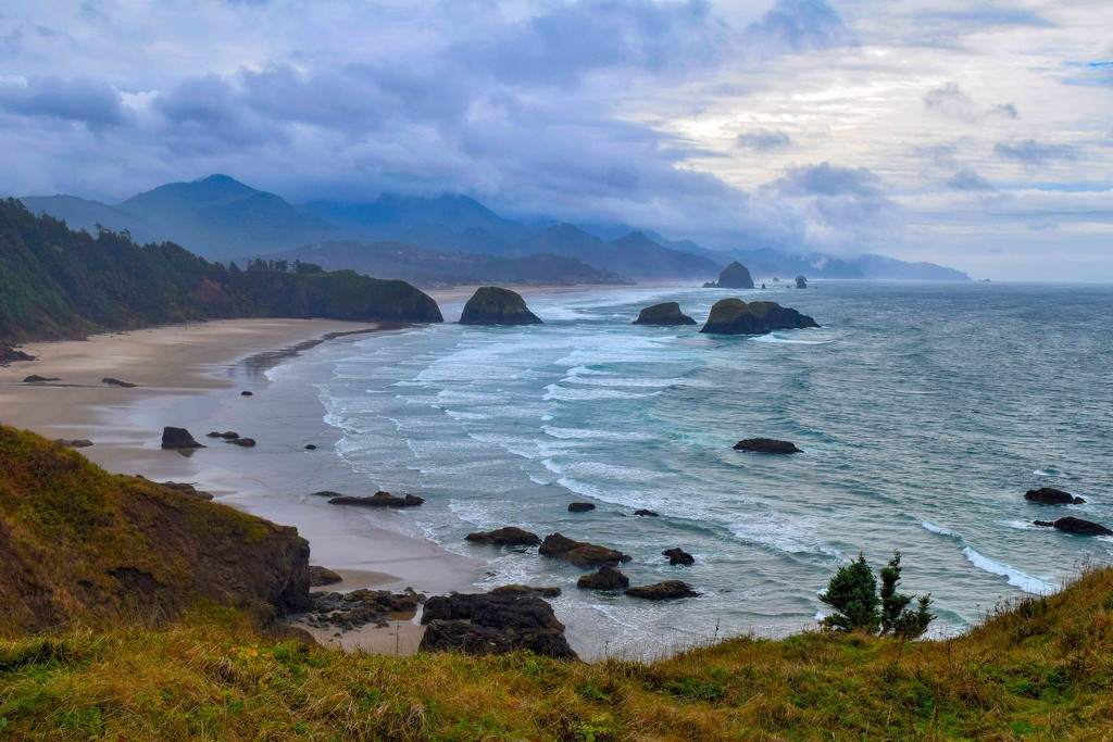 Oregon Coast  by theredcamera