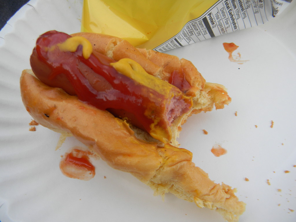 Hot Dog at Neighborhood Cookout by sfeldphotos