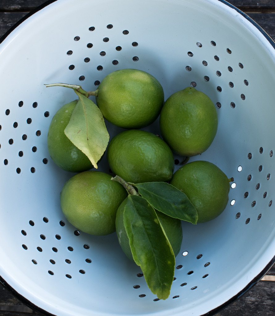 Limes  by brigette