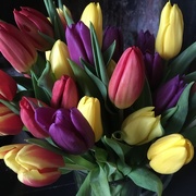 26th Mar 2020 - Just tulips