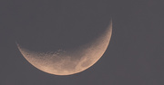 29th Mar 2020 - Afternoon Moon!