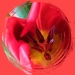 heart of a tulip by quietpurplehaze