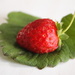 Strawberry  by jb030958