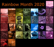 30th Mar 2020 - Rainbow Month