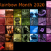 Rainbow Month by francoise