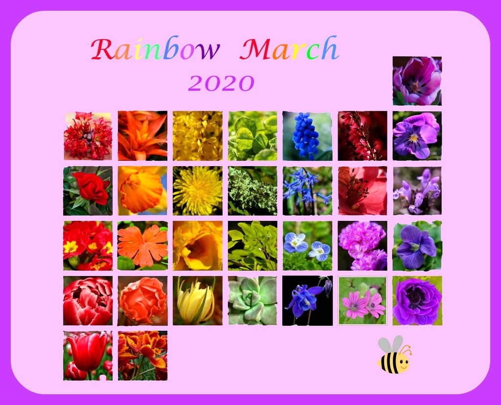Rainbow March 2020 by milaniet