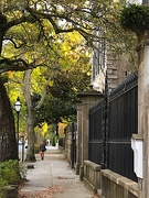 31st Mar 2020 - Meeting Street view, historic district of Charleston