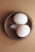 31st Mar 2020 - Tessa Traeger Eggs