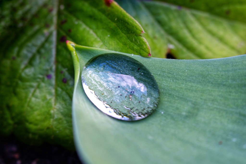 Water droplet by mattjcuk
