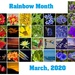 Rainbow 2020 by merrelyn