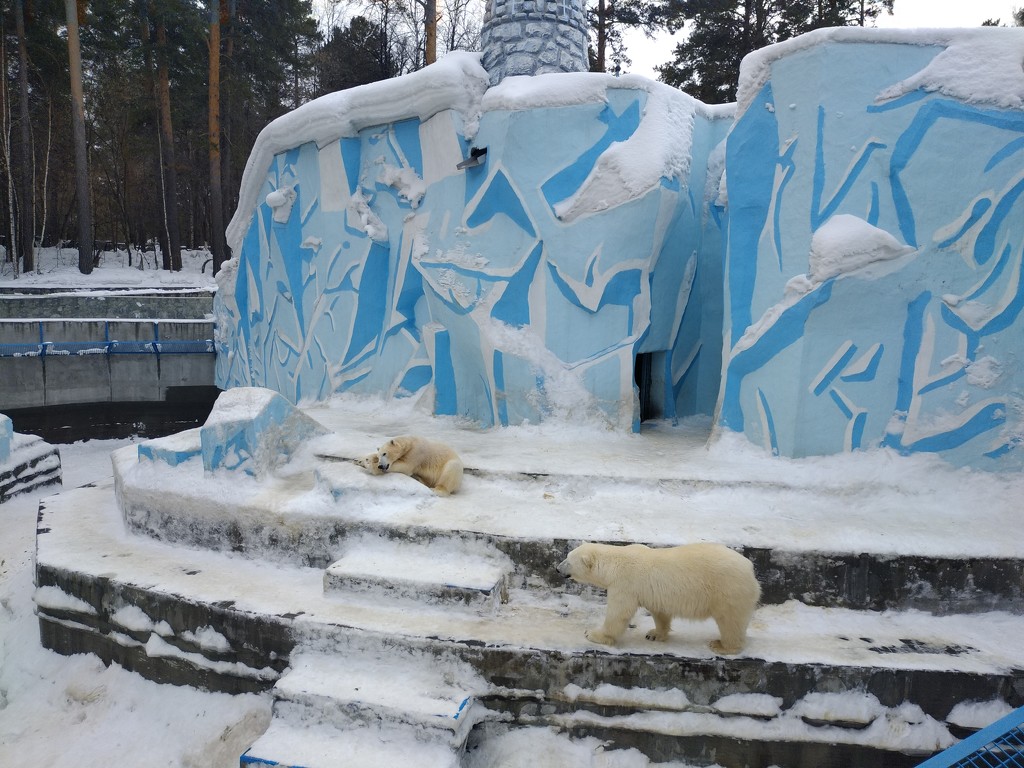 Зоопарк г.Новосибирск by natalytry