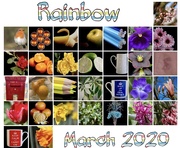 31st Mar 2020 - Rainbow Challenge 2020