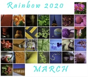 31st Mar 2020 - rainbow 2020