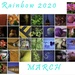 rainbow 2020 by haskar
