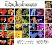 31st Mar 2020 - Rainbow Calendar