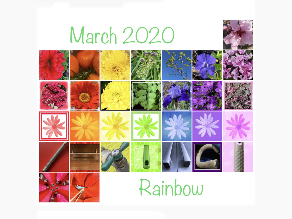 Rainbow 2020 Calendar by shutterbug49