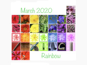31st Mar 2020 - Rainbow 2020 Calendar