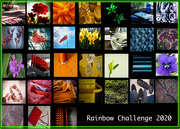 31st Mar 2020 - Rainbow Collage