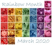 31st Mar 2020 - Rainbow Month 2020