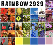 1st Apr 2020 - Rainbow 2020