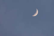 29th Mar 2020 - Late Afternoon Moon