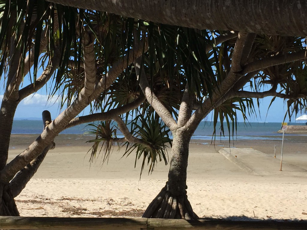 Pandanus Beach Wynnum by alisonjyoung