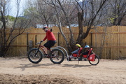 1st Apr 2020 - Out For A Ride.