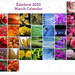 Rainbow Calendar by mittens