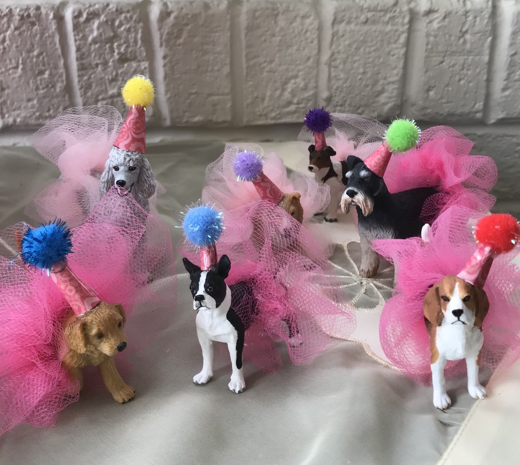 Puppies in Tutus! by beckyk365
