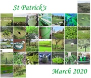 31st Mar 2020 - green month