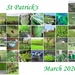 green month by anniesue