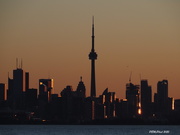 1st Apr 2020 - Sun-Kissed Toronto