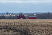 1st Apr 2020 - The Little Red Barn