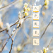 Hello April! by panoramic_eyes
