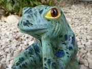 1st Apr 2020 - Ed's frog. 