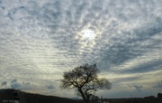 2nd Apr 2020 - Mackerel skies